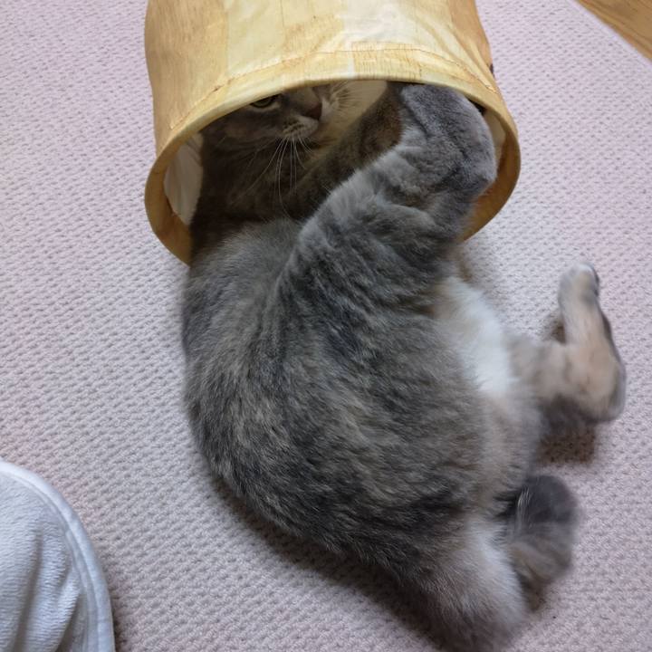 Cd61f0db 3626 4c62 8aed 94fcce2a7b2f 1576505019422