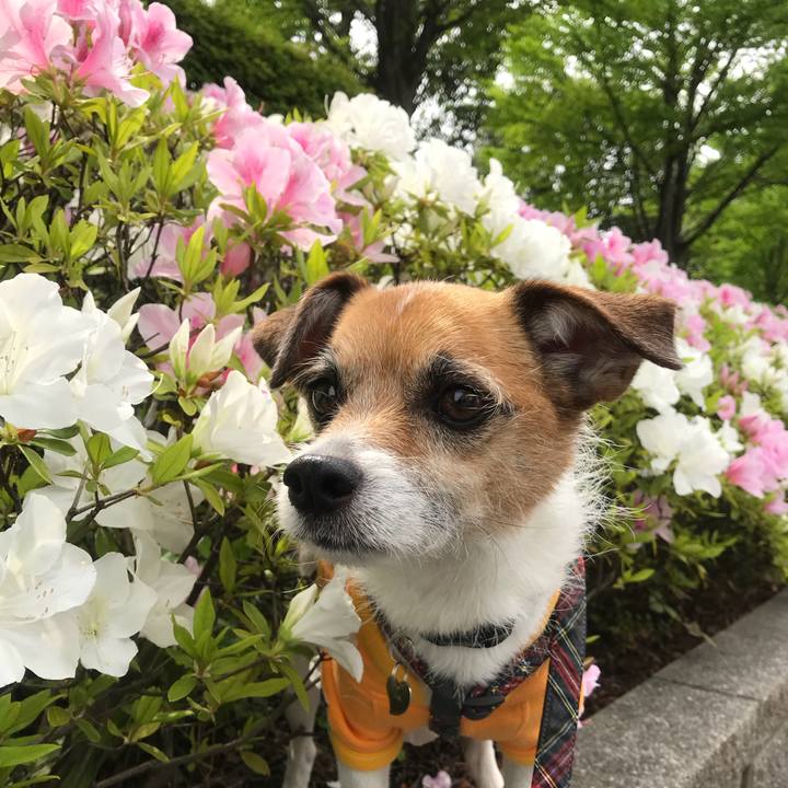 Cd623f1e f7fc 43ab bbc4 11d4d1ed2cc7 1524534263087