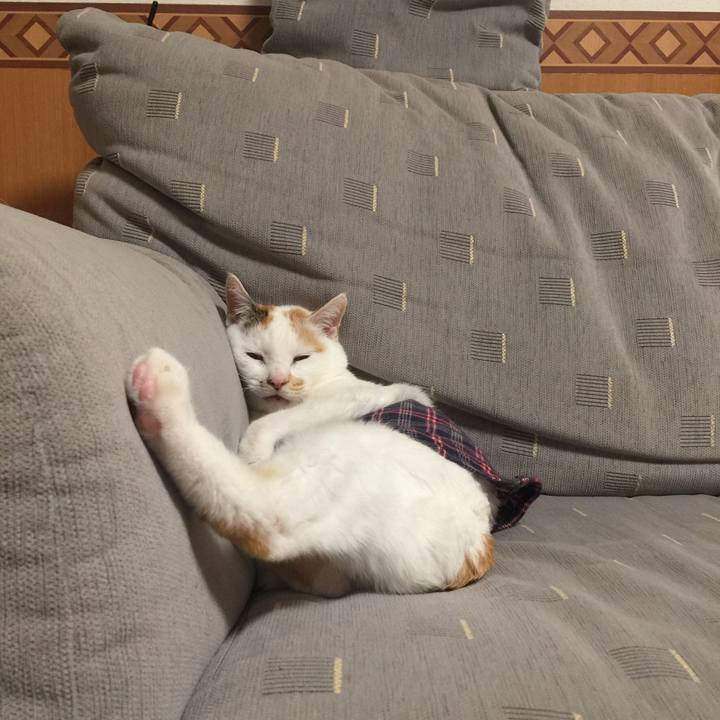 Cd624372 a449 462f abca fef59c79ef3b 1520254636784