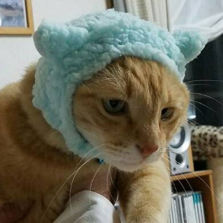 Cd626f76 5536 4a8c b856 9083c013ba4c 1531958720521