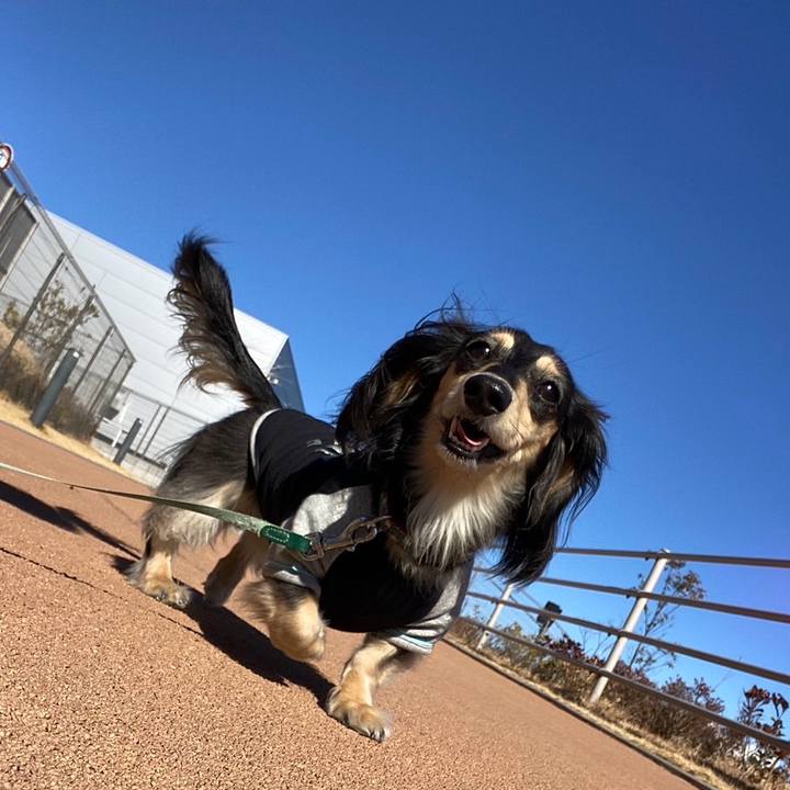 Cd6298a6 c36f 4bc9 bf5d effe68b7cb62 1737866870856