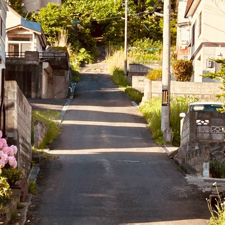 Cd62cc56 493a 47cf 81f4 857d16bdf743 1685482607013