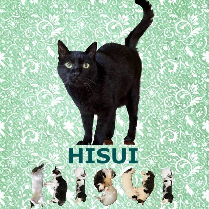 Cd62f5a7 adc4 4a2e 94ca 82df040070af 1668903017248