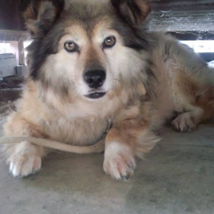 Cd630b11 7135 457c a682 4148d8c0ec1c 1585586384534