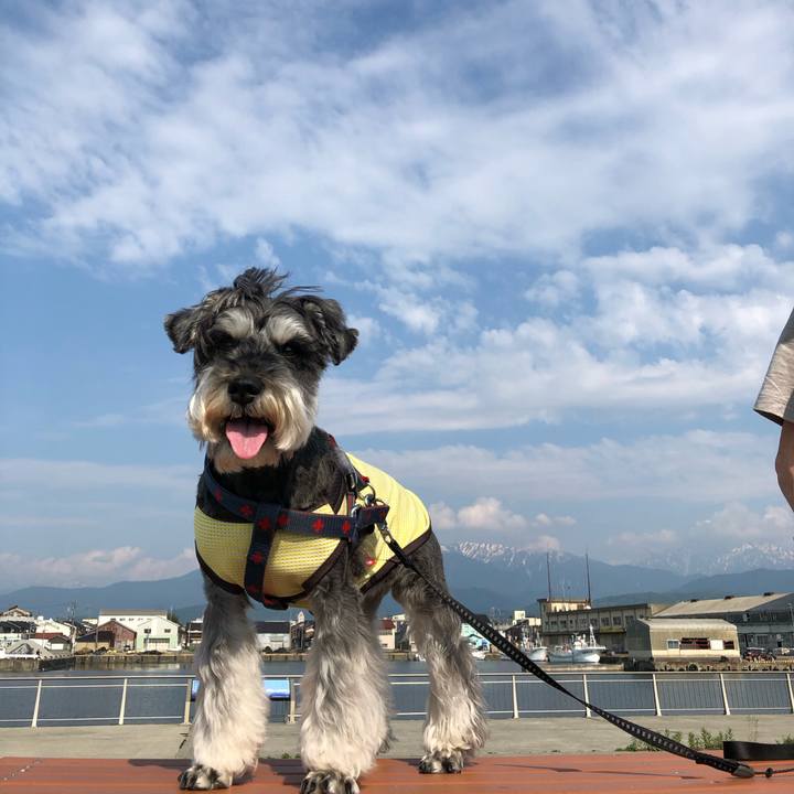 Cd631bf9 c2fb 4081 a355 d16f7183b7df 1653220585596