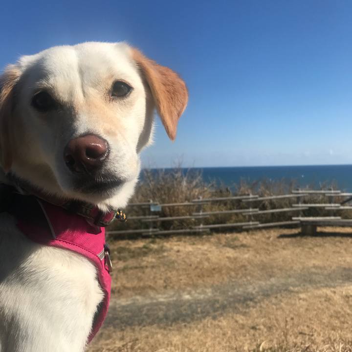 Cd633918 c9e9 4f67 941d a635f706316a 1581517337657