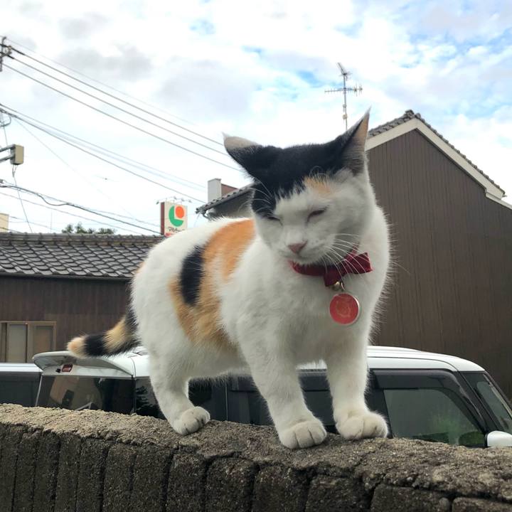 Cd6342f5 2f62 4f70 a838 3ed2950696c0 1634335835656