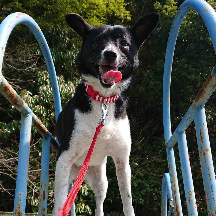 Cd637c79 62b3 4678 92cf 54d178a75588 1522058286022