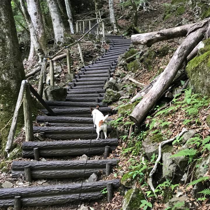 Cd6387e7 d5f2 43a1 bced bd139afd20f4 1528084300513