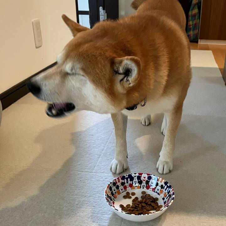 Cd638cc8 ce7e 4b5e b353 30af9a4419e5 1764735396720