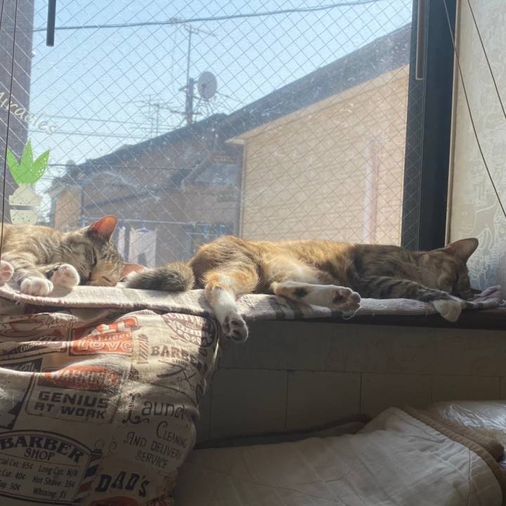 Cd63d316 3851 44cd 9c6e dba65d1a54b7 1616054113132