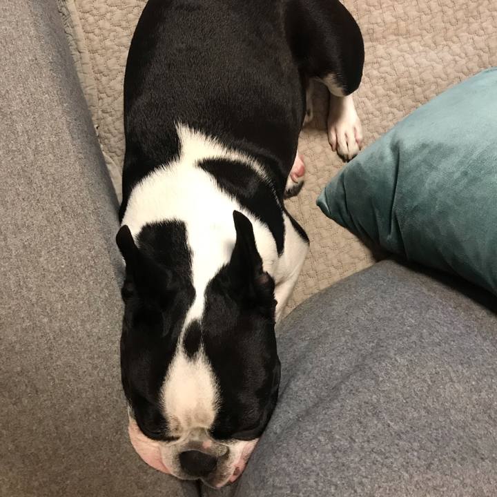 Cd63ea0b 7294 4d27 b023 28bacfb74e43 1602752594572