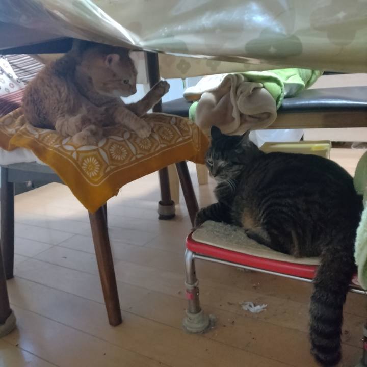 Cd640961 8c16 476f 9d6b 1b501da8ea4b 1709799355132