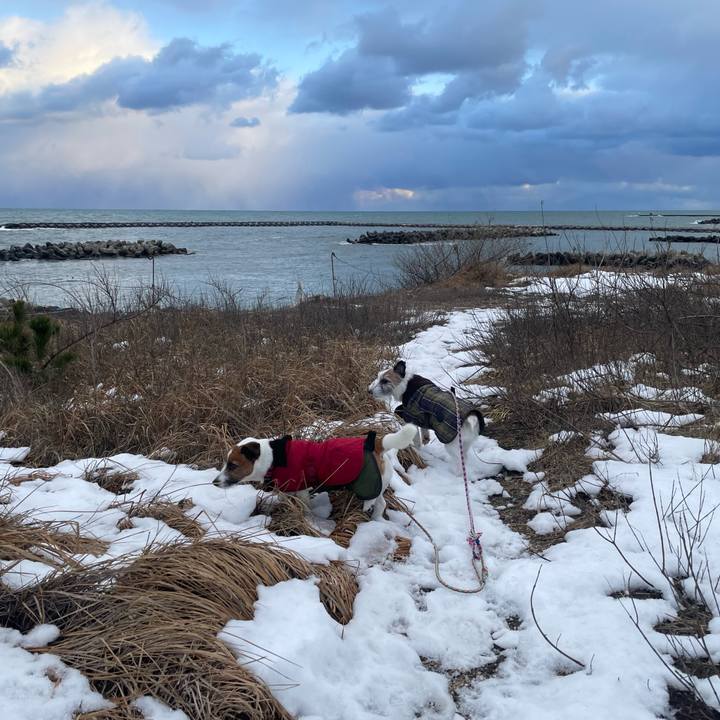 Cd642fe0 11cf 4b2c bdcc ec1b3e6be15e 1769558766810