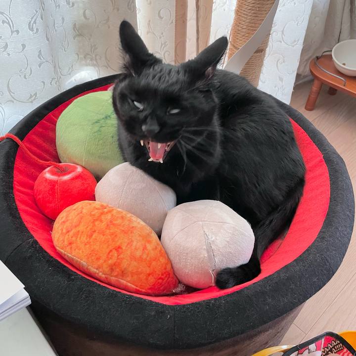 Cd649ad5 9f6e 4060 8a06 e0a604c91067 1648733169883