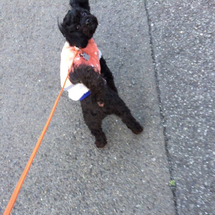 Cd64a3c8 a94d 4d10 963e 342d1cc0609f 1520847121743