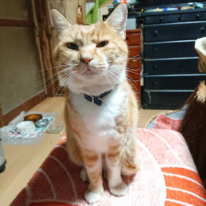 Cd64b831 cb7c 4f87 b306 a483c8894e2c 1604864152730