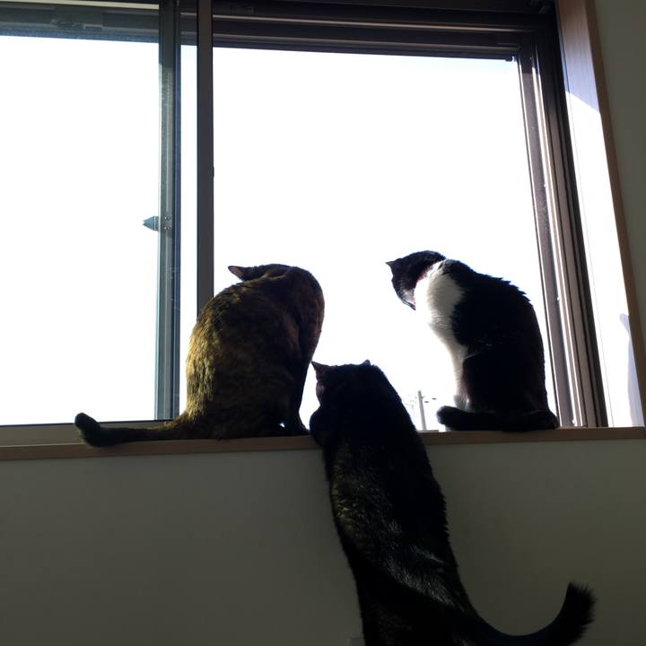 Cd650e50 d5d4 4bf4 a522 d73c4f06711e 1525480267628