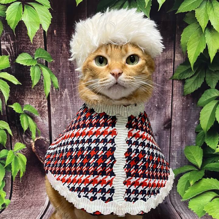 Cd651ed5 c8e6 410f b47e ce9f09fff850 1763102076562