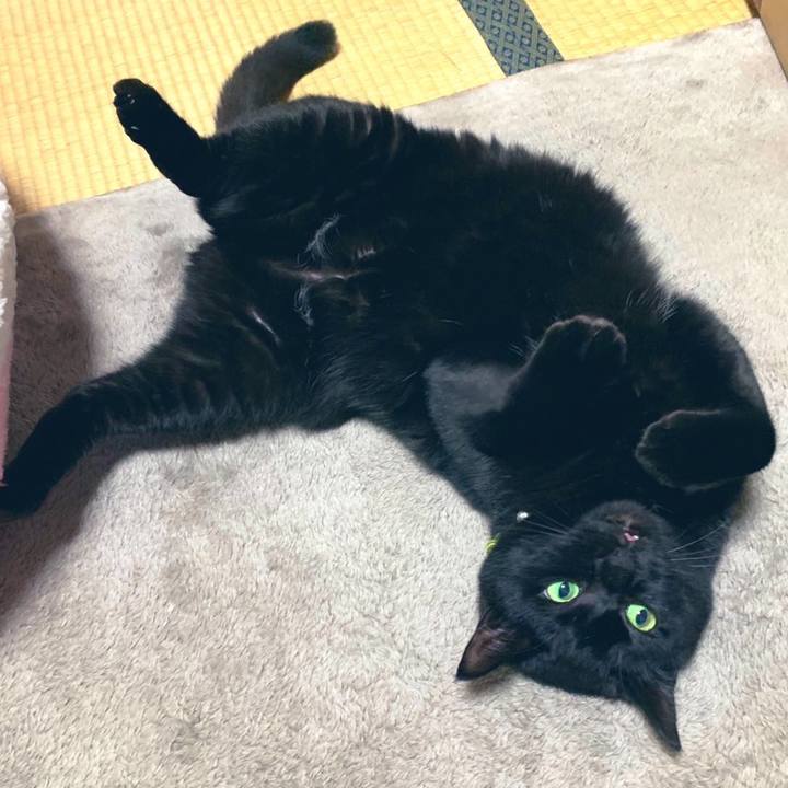 Cd652dd5 460e 491a 84d6 69eb45635aa9 1578579426608