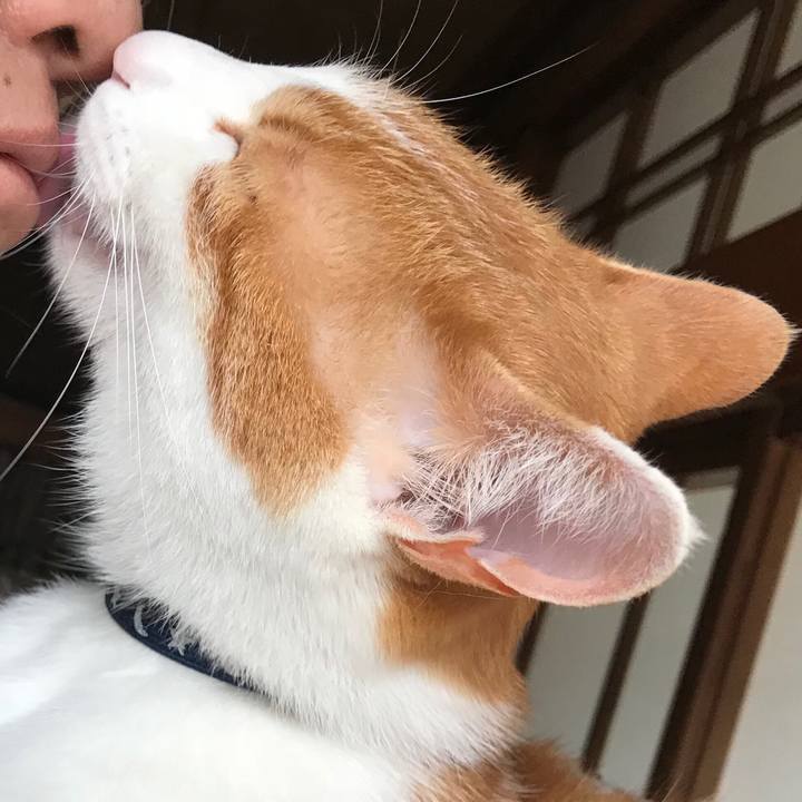 Cd656c80 fab2 4cac bdae 9e344817af89 1524031548553