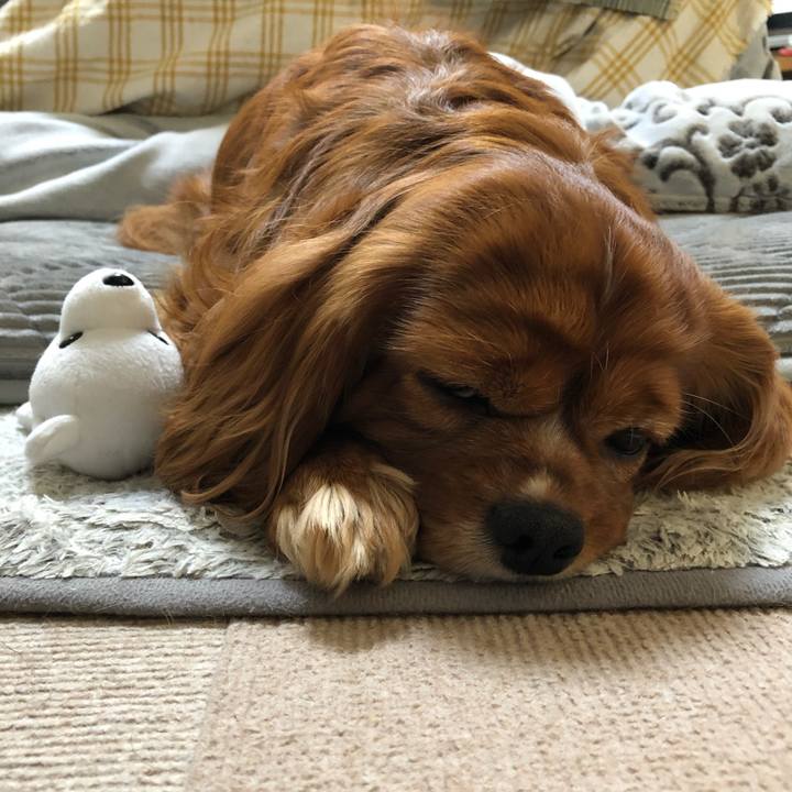 Cd6575bb 2f42 47c7 9024 018226d3345b 1639144130817