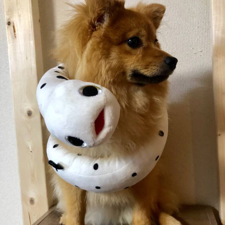 Cd65a1da 4d2f 4ddd 8498 1f1e3b2ae427 1590670249341