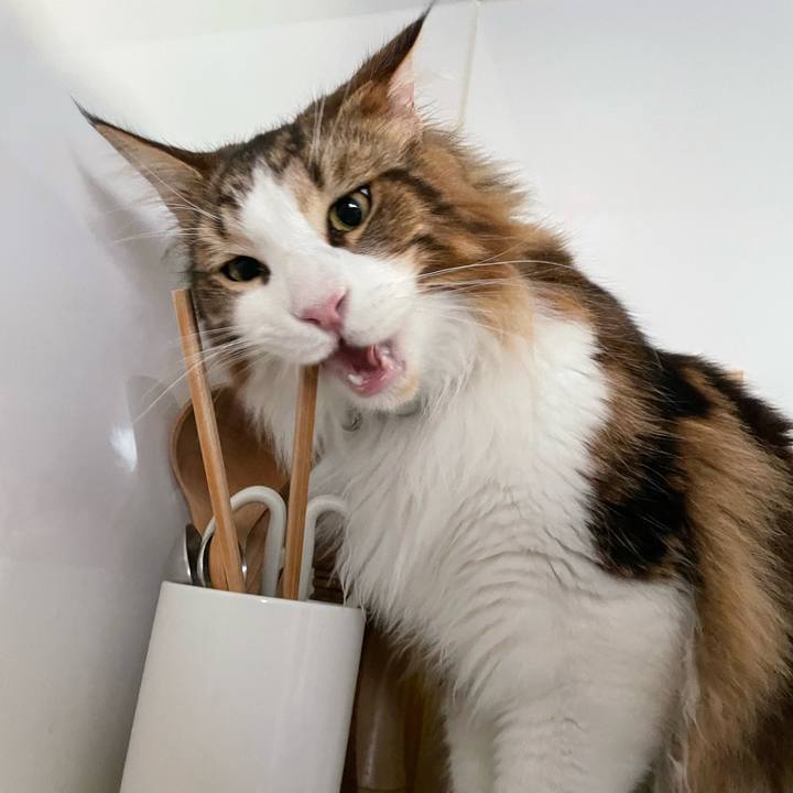 Cd65a794 c66d 45e3 a291 90946d45f2a1 1655842066268