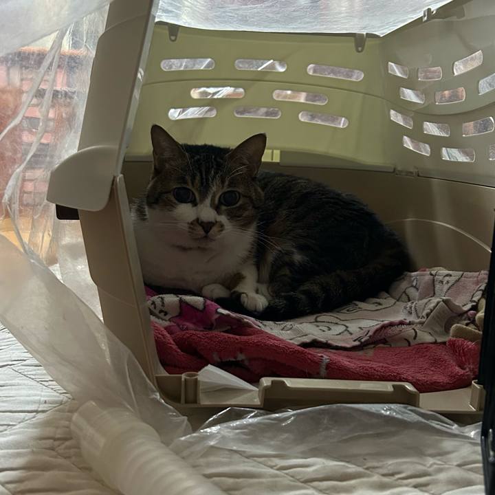 Cd65f315 20ae 428c acf2 a3edd1df896f 1678885790388