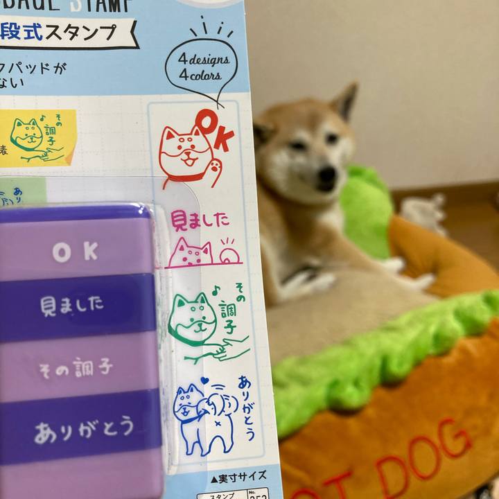 Cd660405 df9d 45ae 923c db9cd00426f8 1621255975929