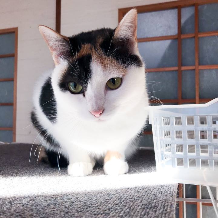 Cd66411f 8fdc 4bba 9d11 924aec0cc6f9 1516411463491