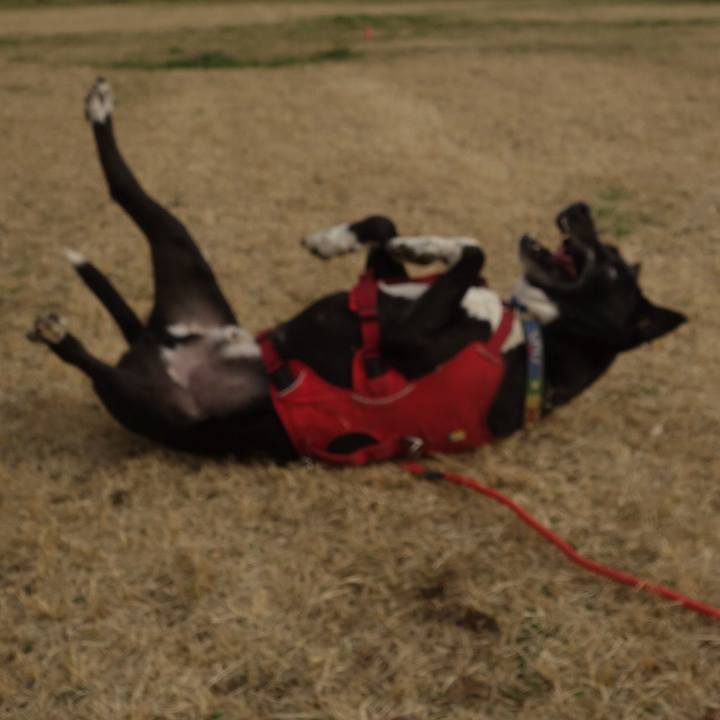 Cd66486e 591c 4f3a bbb2 e11b4f5ab33c 1678583555063