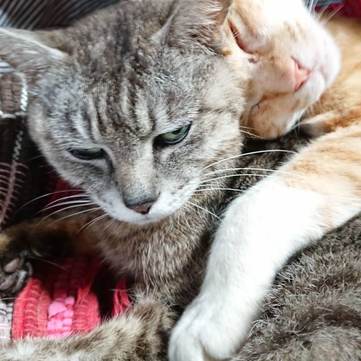 Cd6679a6 f98f 4149 9174 b3c550acba98 1562484518096