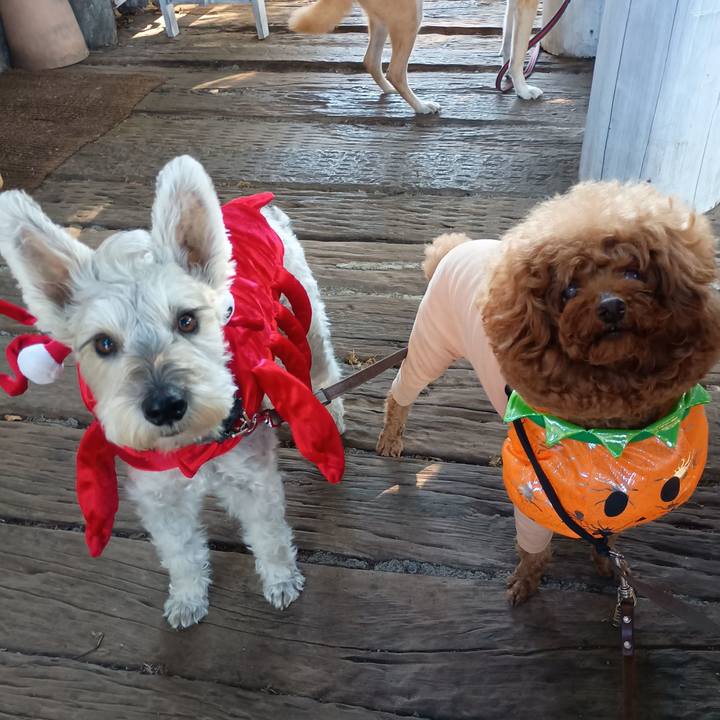 Cd6684d3 aca5 4002 8e2f 962343fee1d0 1761828688629