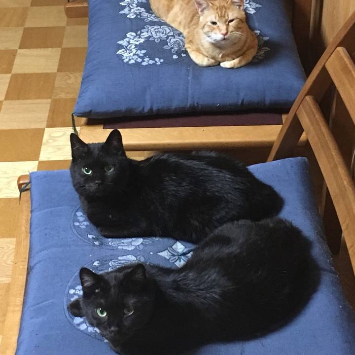 Cd6689fa 5320 4c1e 8471 8898d2666f5e 1561246361018