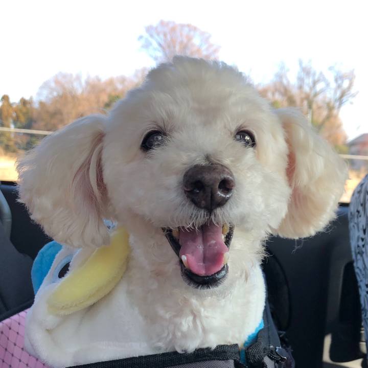 Cd66b3cb 1f6f 4751 8274 d605159f2e1d 1547520357438