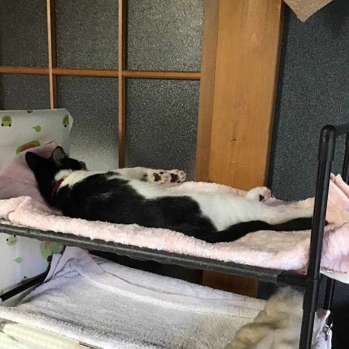 Cd66cf6c 7b10 404e bcca c4c2846a7827 1627791922217