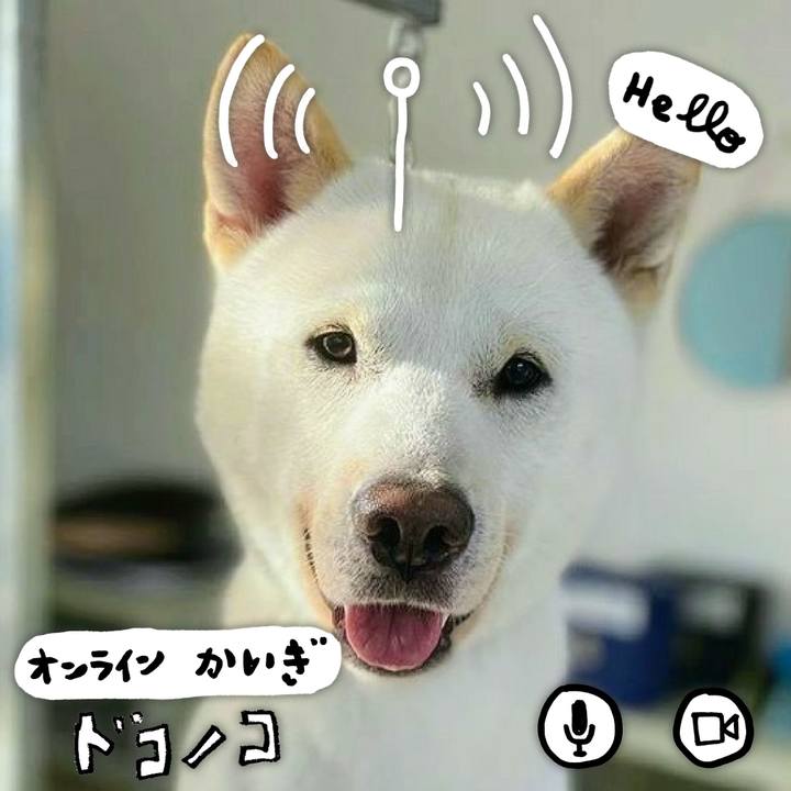 Cd675eae ab50 4601 8651 a4ee011f1aac 1590925782431