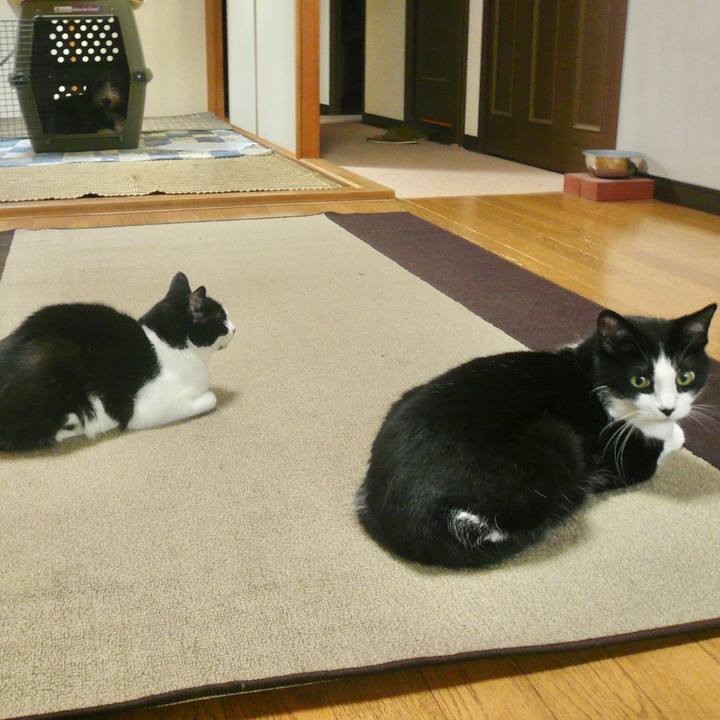 Cd679f8b cc89 41f2 93fb 04147c31dfce 1626164425119