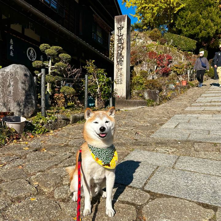 Cd67a183 541e 49a2 8ec0 2afb0de8da58 1763710618882