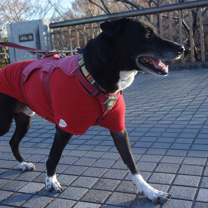 Cd67a348 a924 4054 828c b4084a234a71 1703464926664