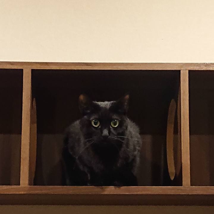 Cd67a45b 3a89 4cbf 81dd adaaa94c3153 1669520643268