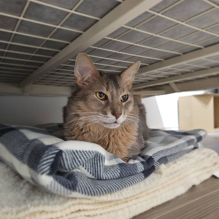 Cd67a985 710a 4431 bfa5 fd1a43d4ddc3 1771503119292