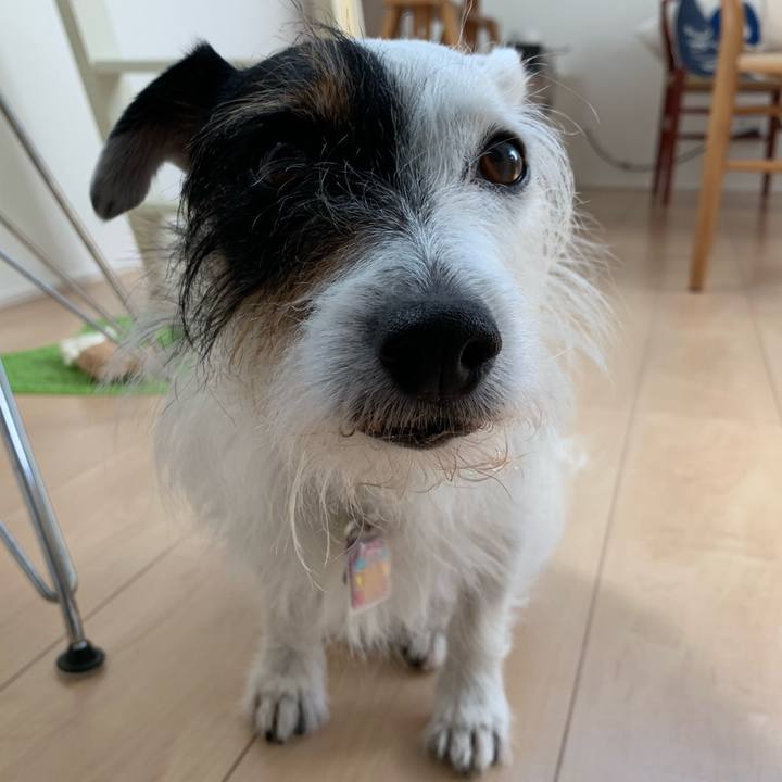 Cd67dad6 64c8 4ff3 9e2a 79d660d56197 1653779419593