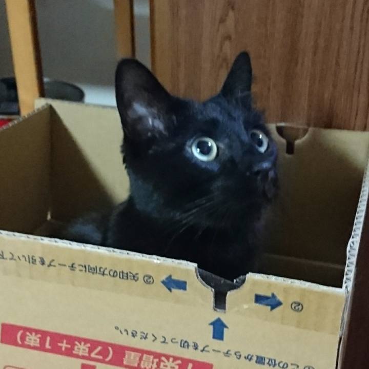 Cd681a5d 4a16 461a b942 3251bb73f5c4 1525009052219