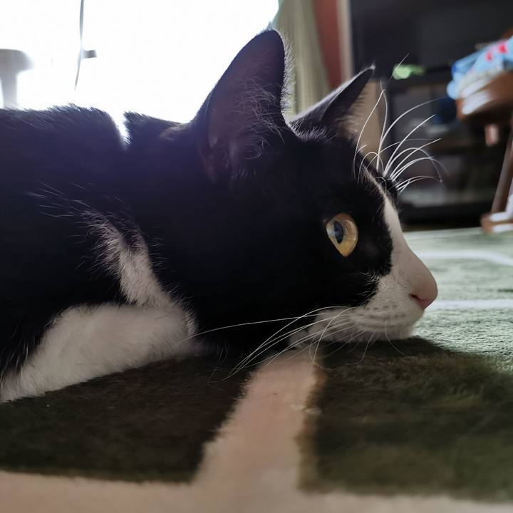 Cd681b56 f277 4da8 a583 dc7b7cd10d91 1621396065444