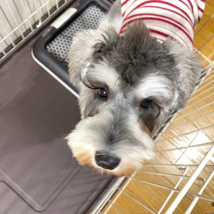 Cd6826a6 b8fd 4411 8d8a dfa74ddd4bef 1577547681021