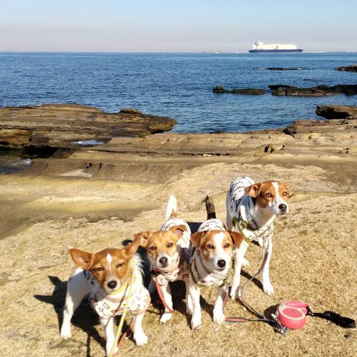 Cd682ccd 2745 4d04 990f 93de7af3b2ed 1767856055260