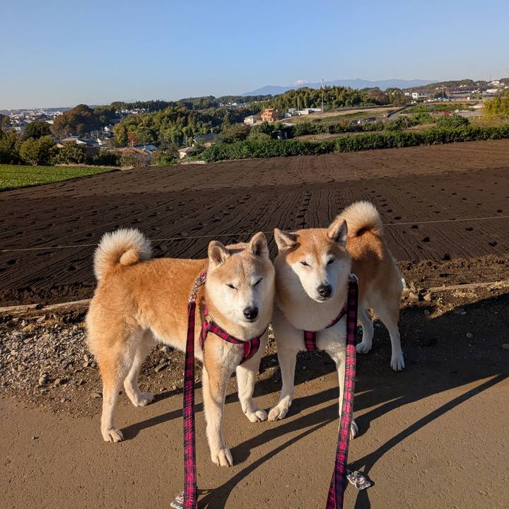 Cd683b60 ab48 4956 bb7b a0cfd300da5d 1763095198997