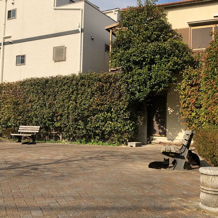 Cd685b09 9845 4da2 b149 ef49449c795b 1646724454226